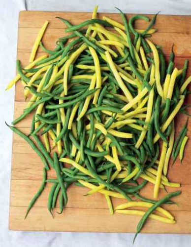 Fermented Green Beans Recipe